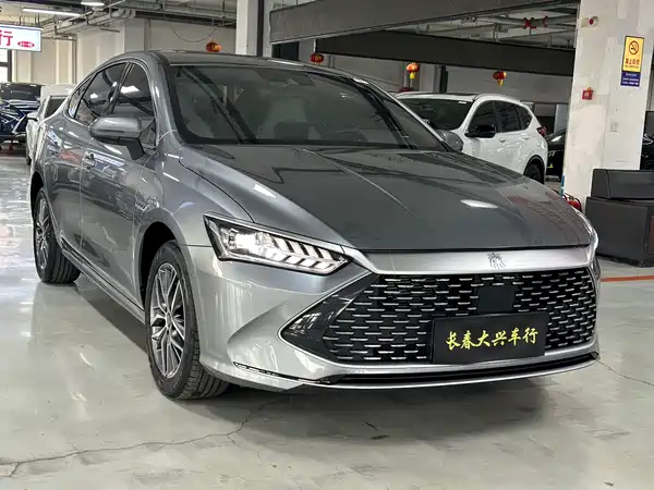 BYD Qin PLUS 2024