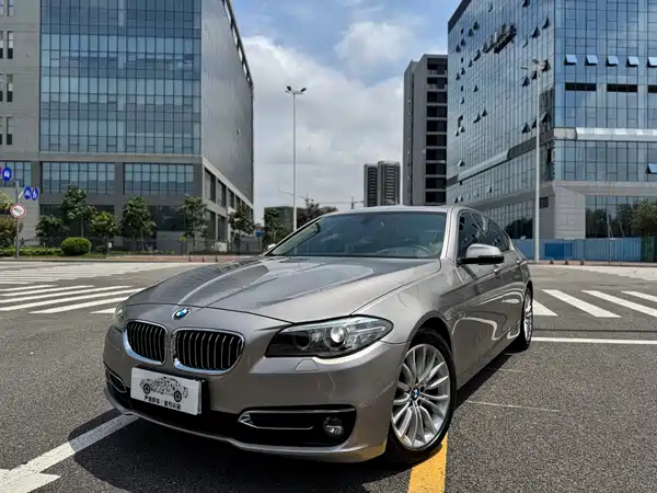 BMW 5 Series 2017