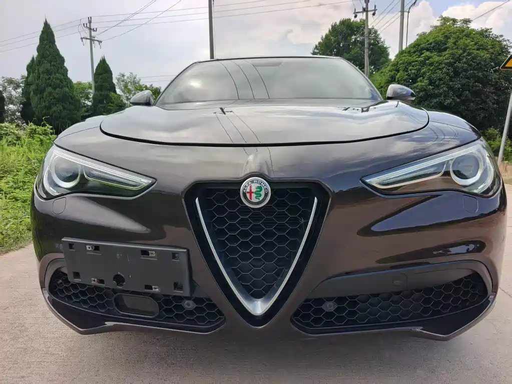 Alfa Romeo Stelvio 2019 — фото 1
