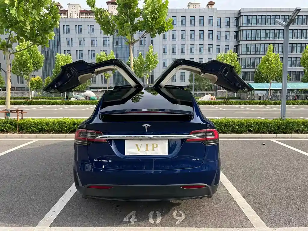 Tesla Model X 2017 — фото 8