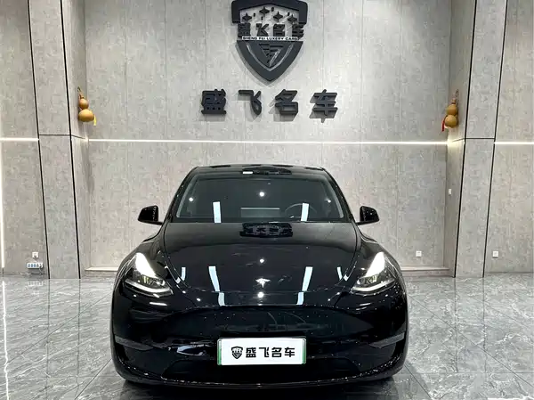 Tesla Model Y 2021