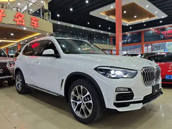 BMW X5 2019