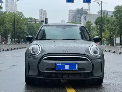 MINI MINI 2022