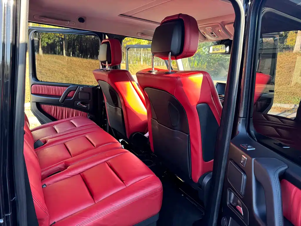 Mercedes-Benz G-Class 2016 — фото 17