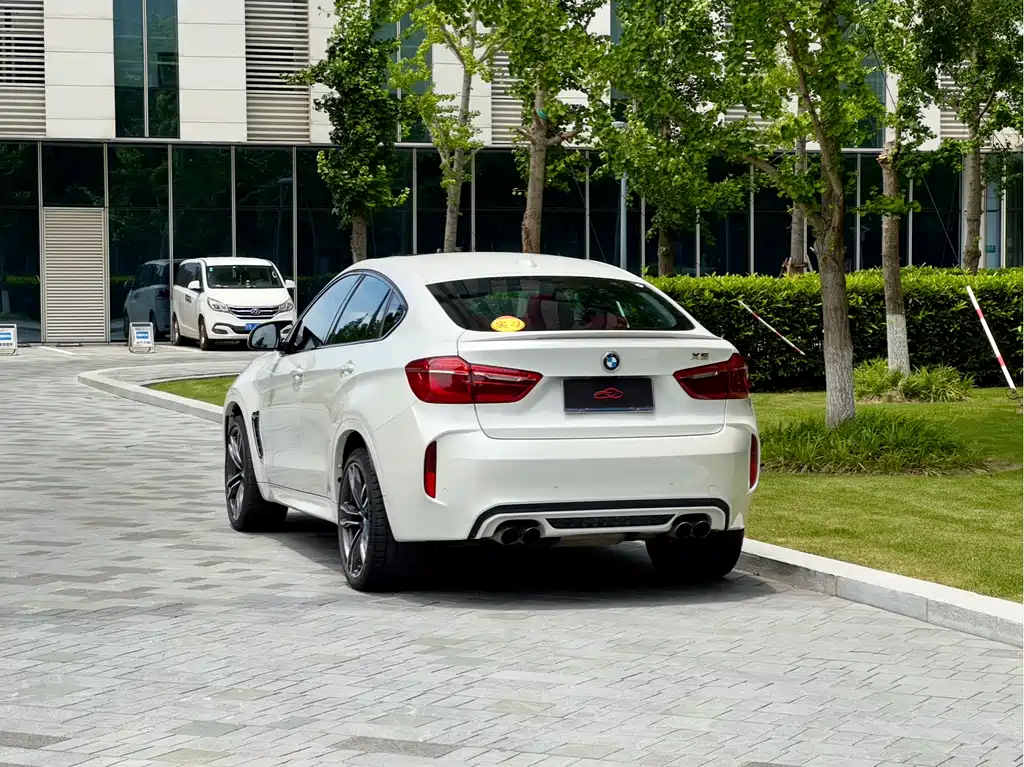 BMW X6 M 2017 — фото 8