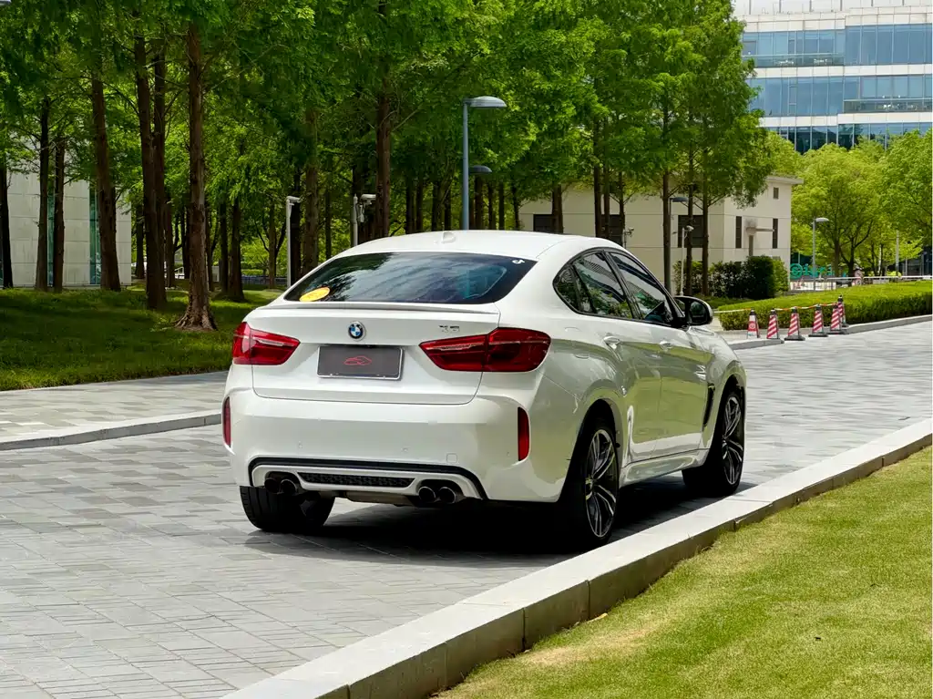 BMW X6 M 2017 — фото 9