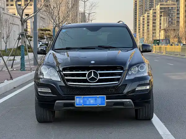 Mercedes-Benz M-Class 2010