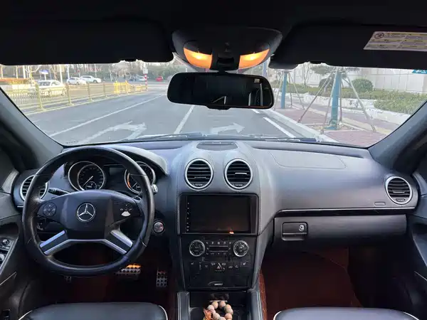 Mercedes-Benz M-Class 2010