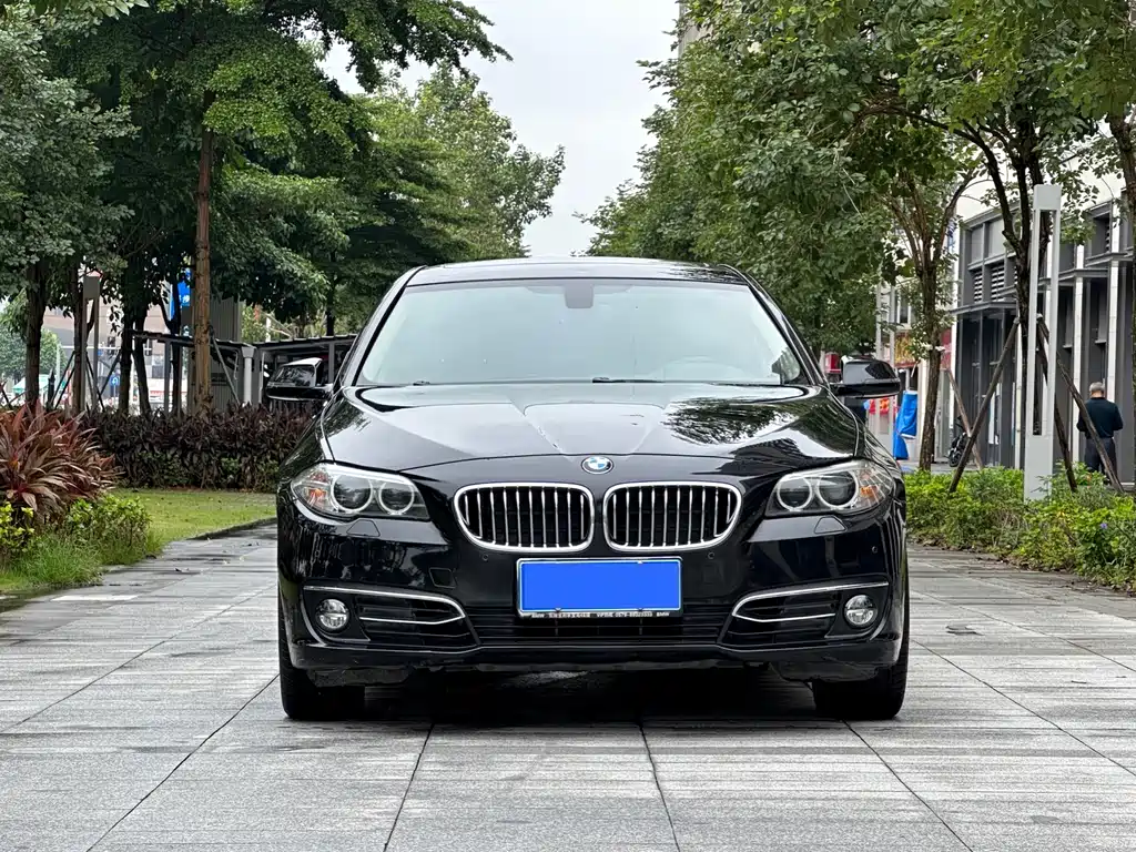 BMW 5 Series 2015