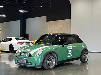MINI MINI 2004