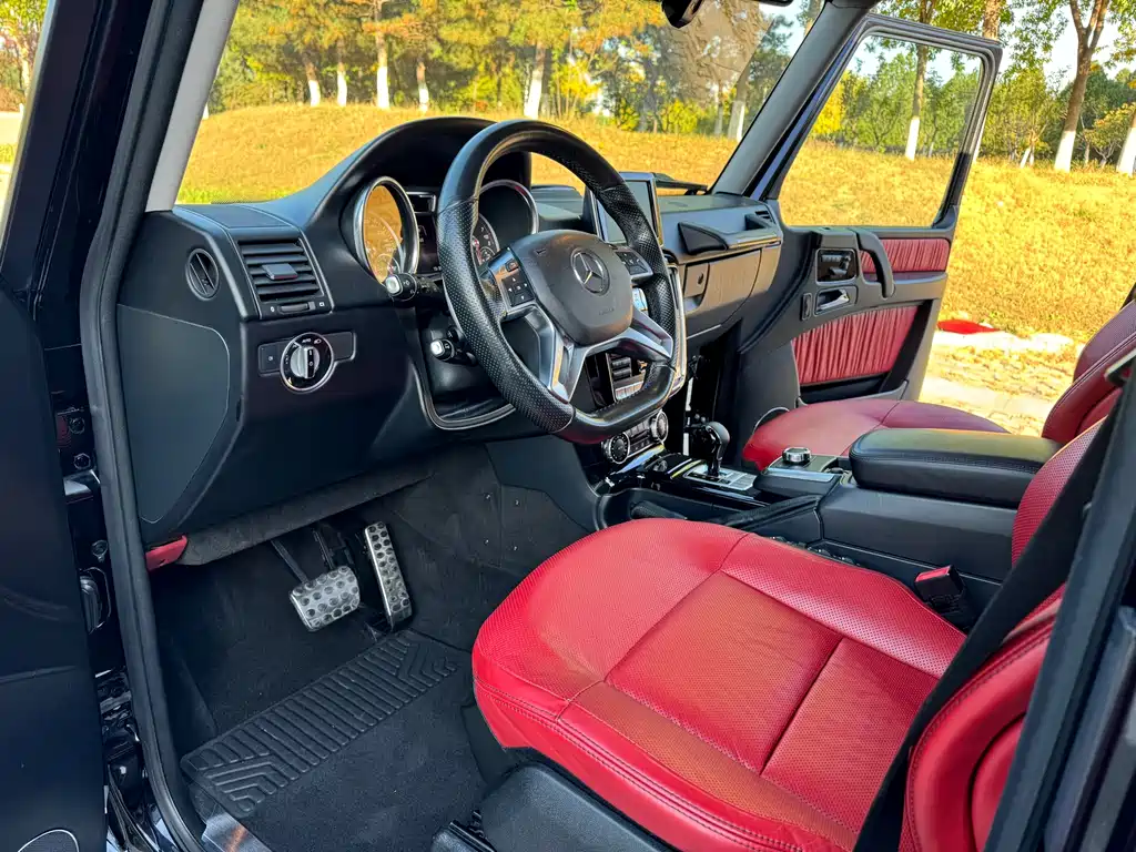 Mercedes-Benz G-Class 2016 — фото 11
