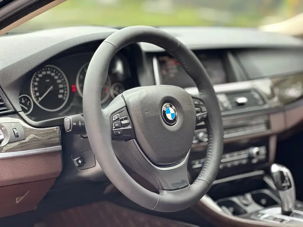 BMW 5 Series 2015 — фото 8