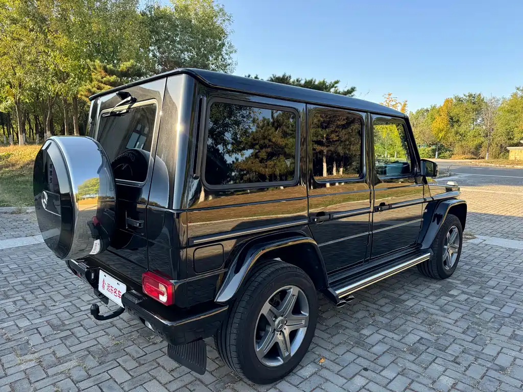 Mercedes-Benz G-Class 2016 — фото 9