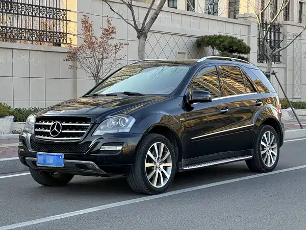 Mercedes-Benz M-Class 2010