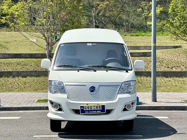 Golden Dragon Jinlv Sea Lion New Energy 2023