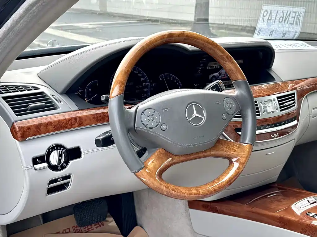 Mercedes-Benz S-Class 2009 — фото 13
