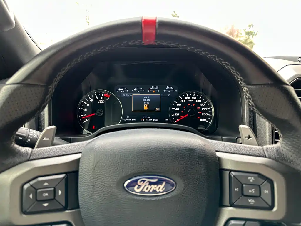 Ford F-150 Raptor 2020 — фото 6