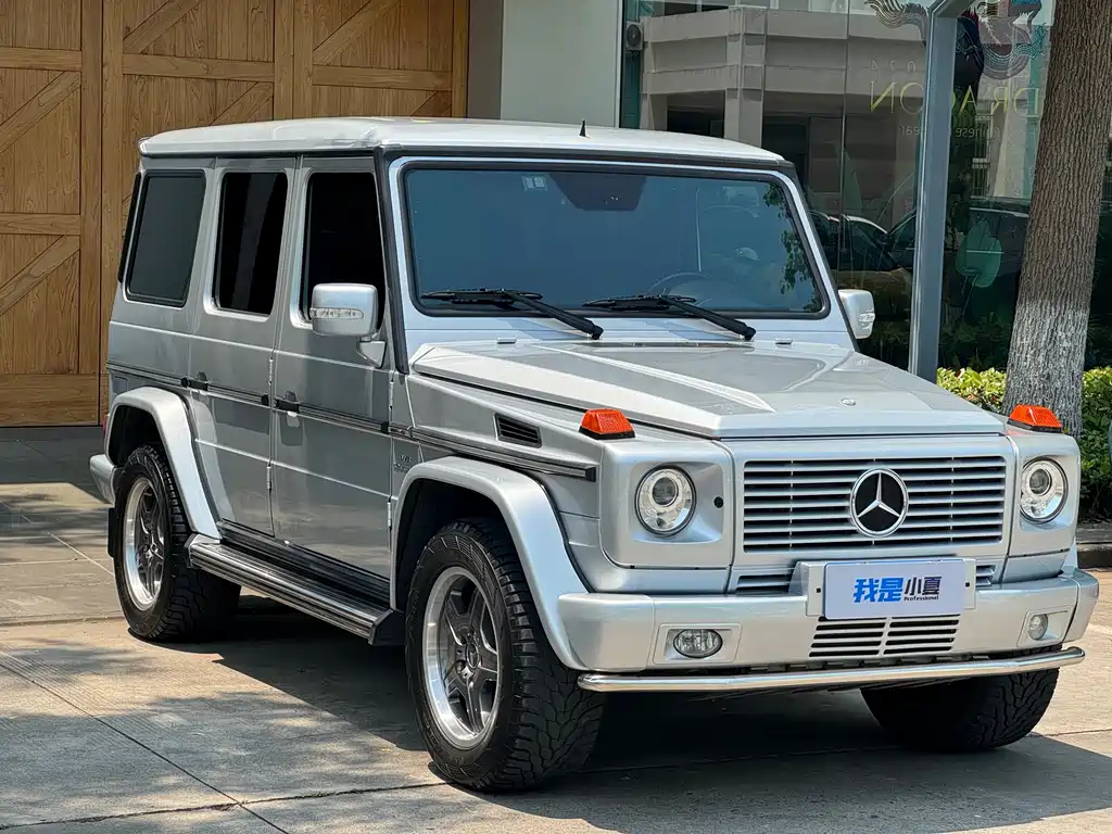 Mercedes-Benz G-Class AMG 2007 — фото 3