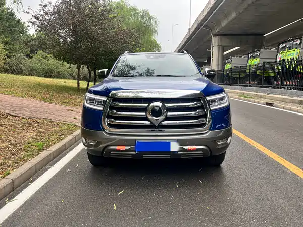 Great Wall Poer 2021