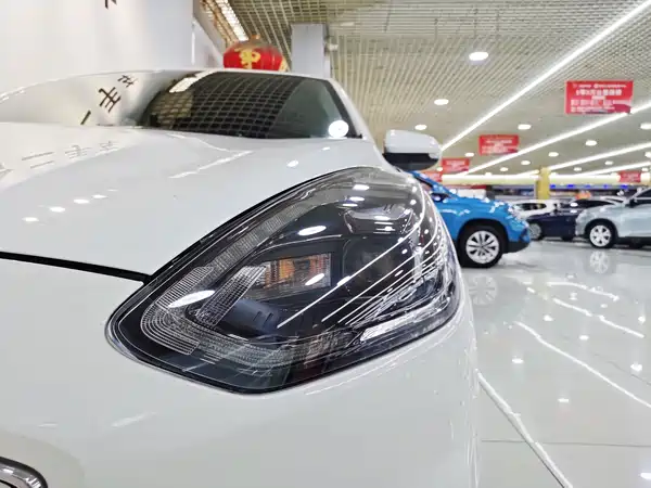 Ford Escort 2019