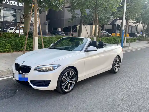 BMW 2 Series 2019