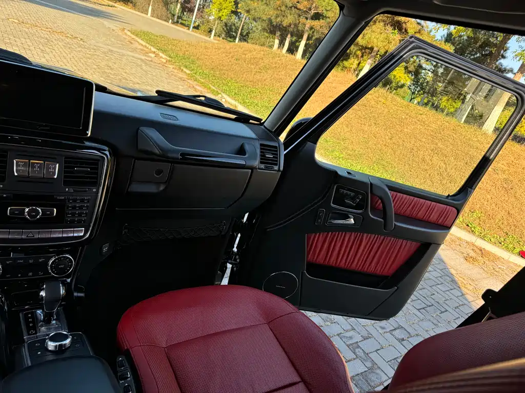 Mercedes-Benz G-Class 2016 — фото 23