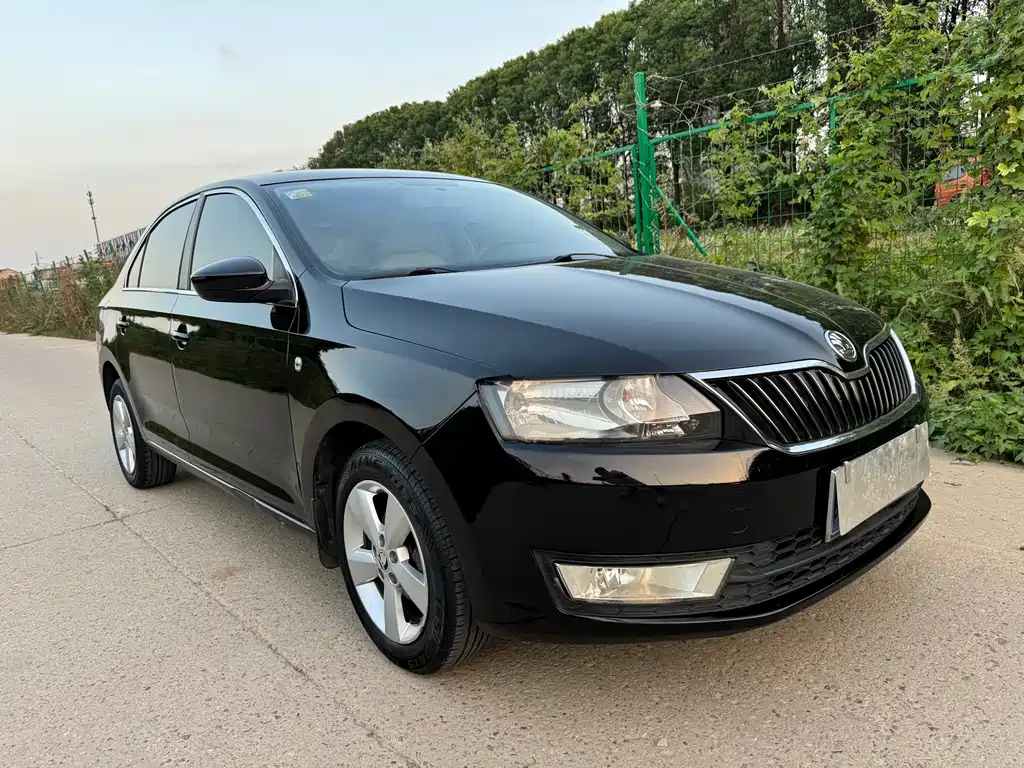 Skoda Rapid 2013 — фото 2
