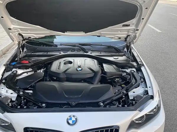 BMW 2 Series 2019