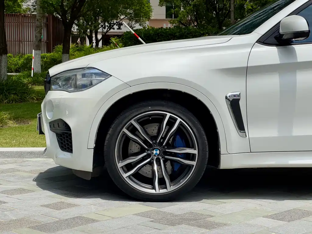 BMW X6 M 2017 — фото 5