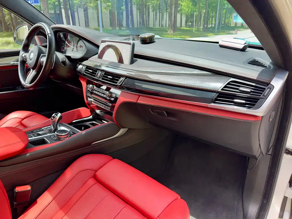 BMW X6 M 2017 — фото 12