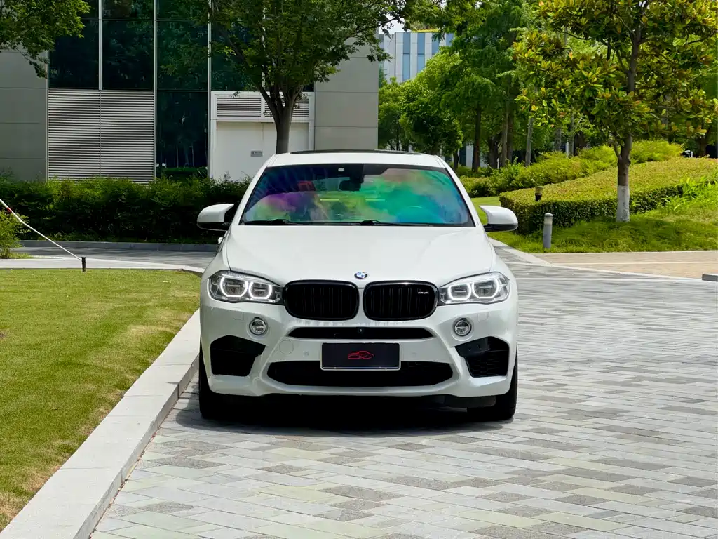 BMW X6 M 2017 — фото 2