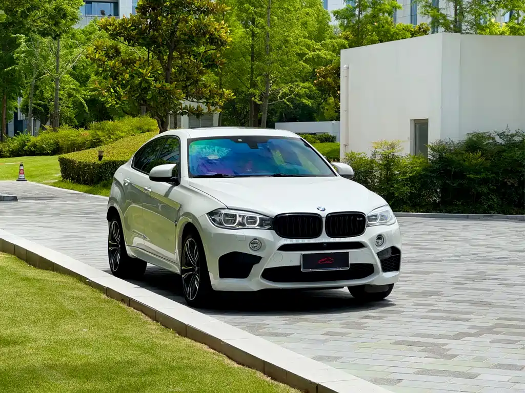 BMW X6 M 2017 — фото 3