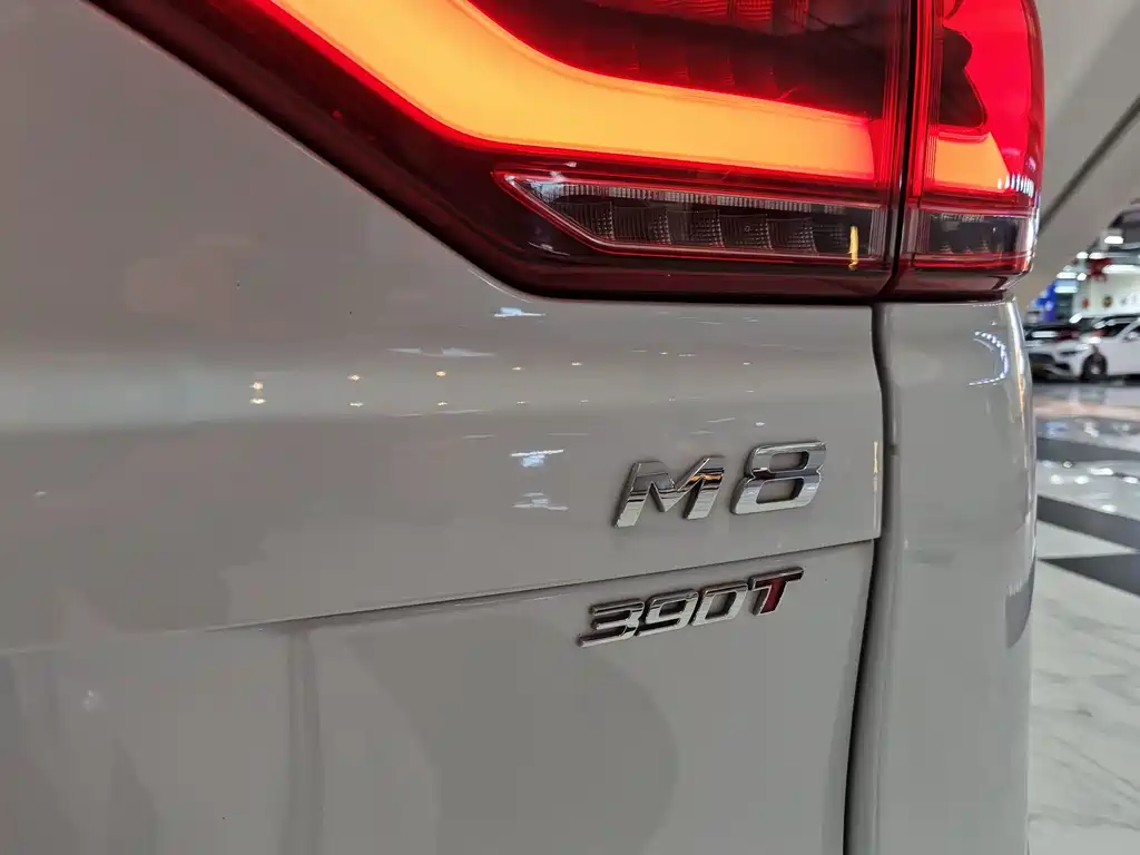 GAC Motor Trumpchi M8 2022 — фото 19