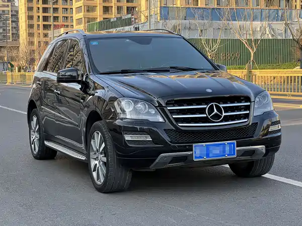 Mercedes-Benz M-Class 2010