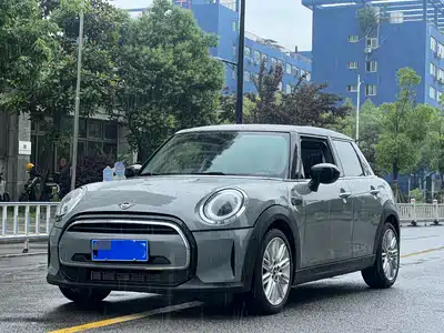 MINI MINI 2022