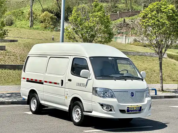 Golden Dragon Jinlv Sea Lion New Energy 2023