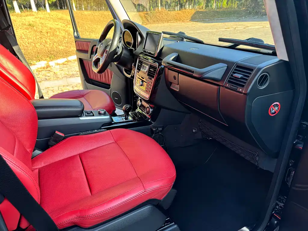 Mercedes-Benz G-Class 2016 — фото 13