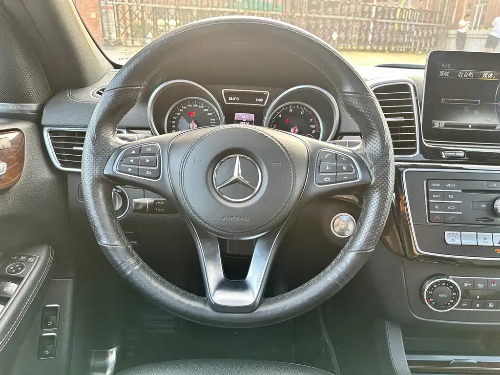 Mercedes-Benz GLS 2017 — фото 17