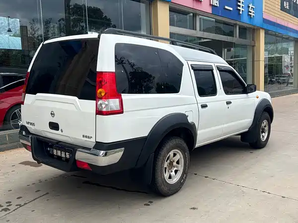 Nissan ZN Van 2011