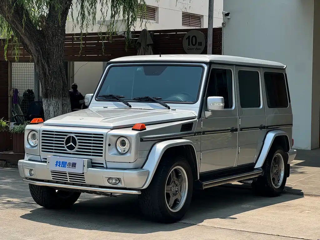 Mercedes-Benz G-Class AMG 2007 — фото 2