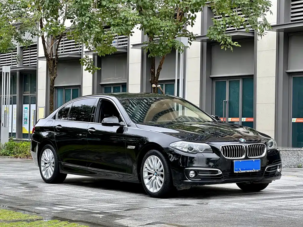 BMW 5 Series 2015