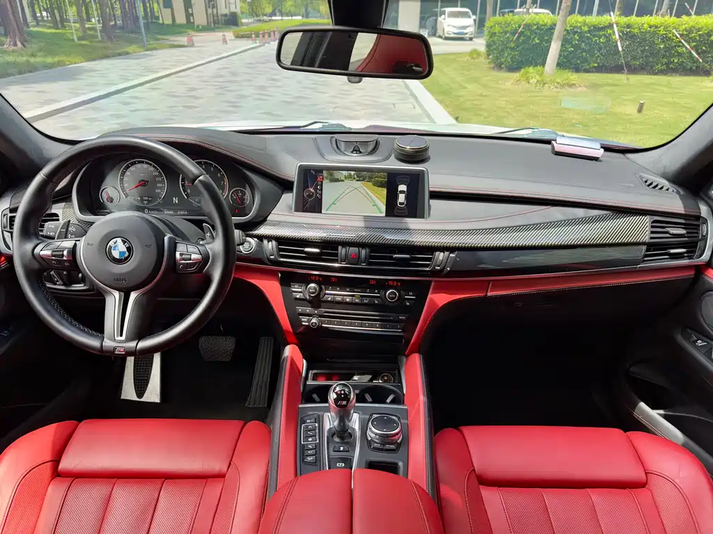 BMW X6 M 2017 — фото 16