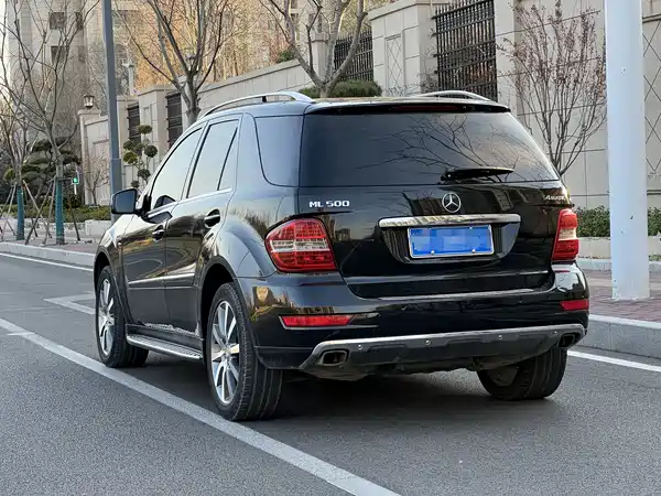 Mercedes-Benz M-Class 2010
