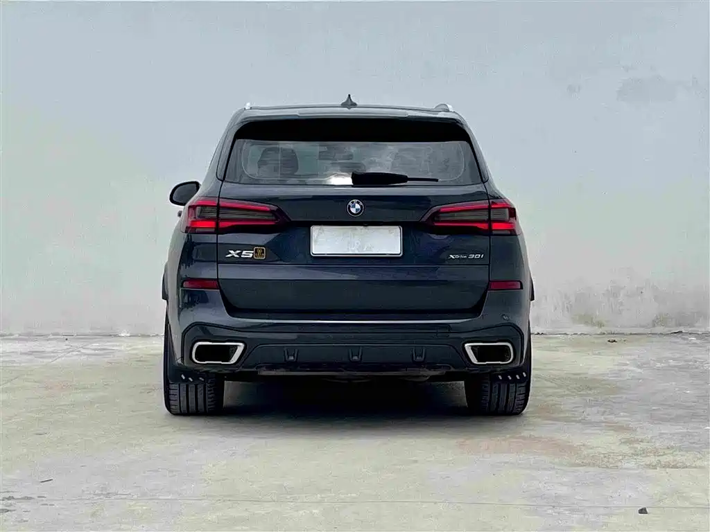 BMW X5 2021