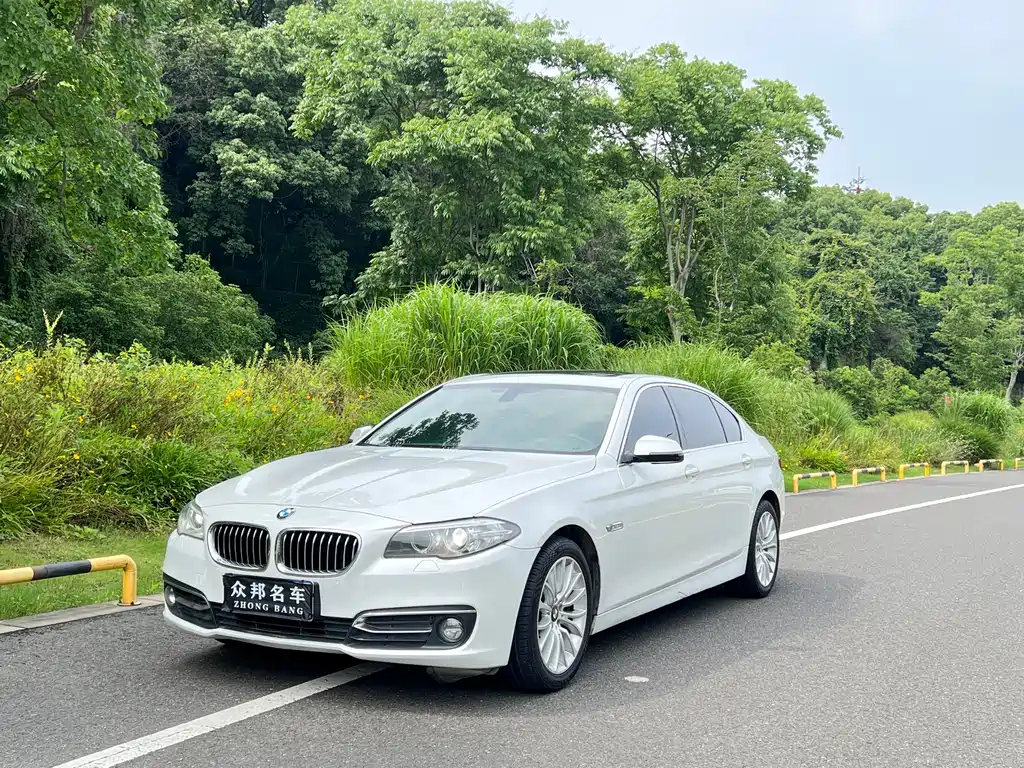 BMW 5 Series 2017