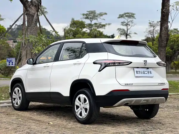 Baojun 510 2019