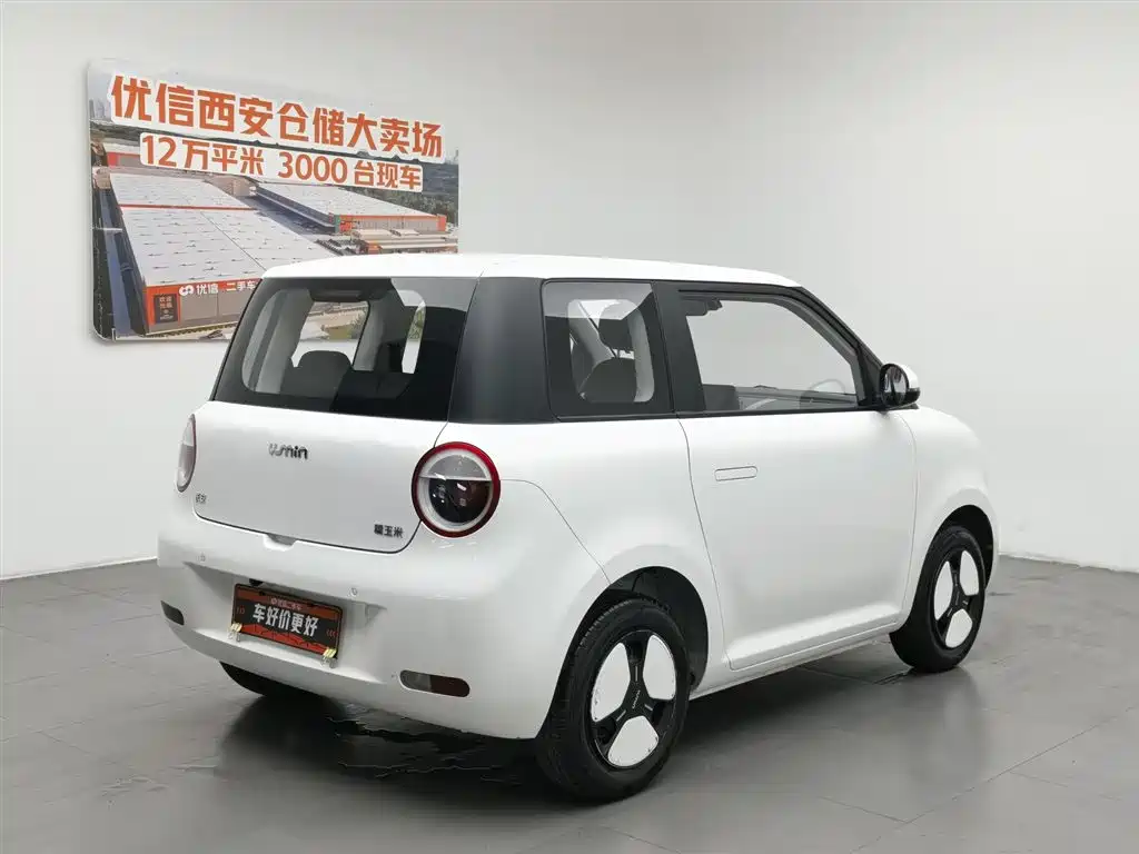 Qiyuan Lumin 2023