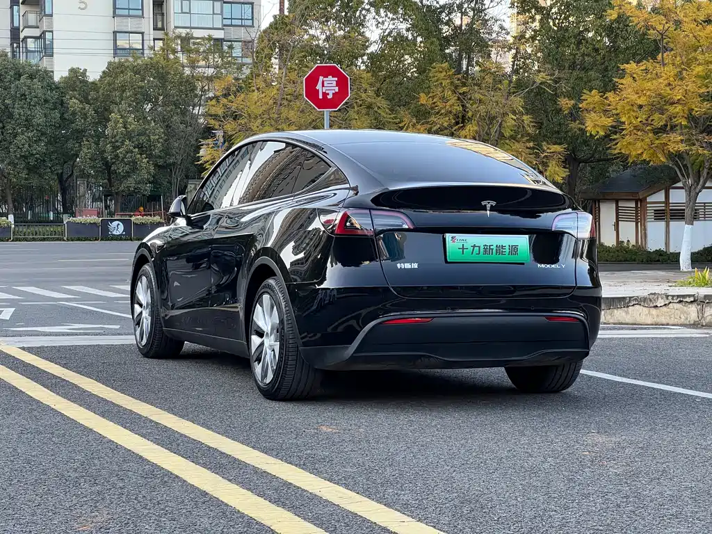 Tesla Model Y 2021 — фото 7