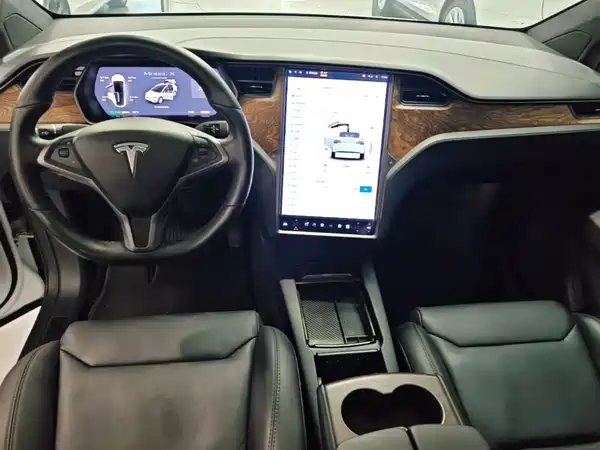 Tesla Model X 2019