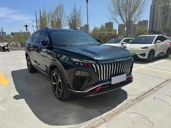 Dongfeng Haoji 2023